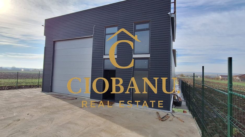 Hala de vanzare in Racari de Jos - Poză 20