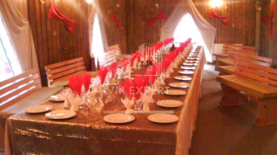 VILA - PENSIUNE CU RESTAURANT + SI TEREN 6406 MP, VALEA MARE PRAVAT, - Poză 13