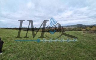 Teren de vanzare in Petresti  Jud Alba extravilan - Poză 2