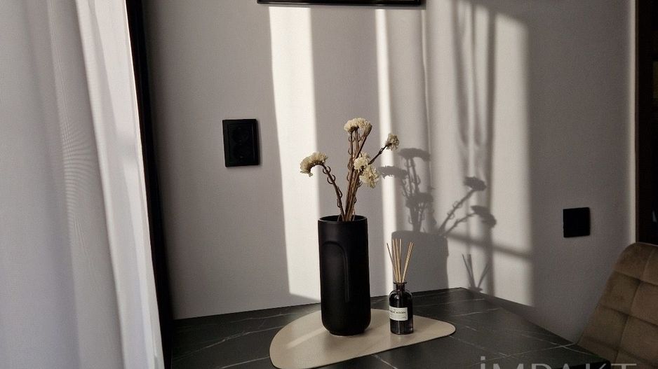 Apartament cu o camera si nisa de dormit in Buna Ziua - Poză 12