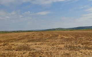 Teren intravilan– 50.000 mp, Bacău, Șoseaua Hol - Poză 9