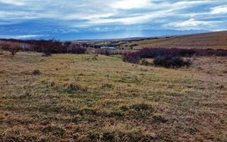 Teren extravilan situat în zona Bavaria!! - Poză 3