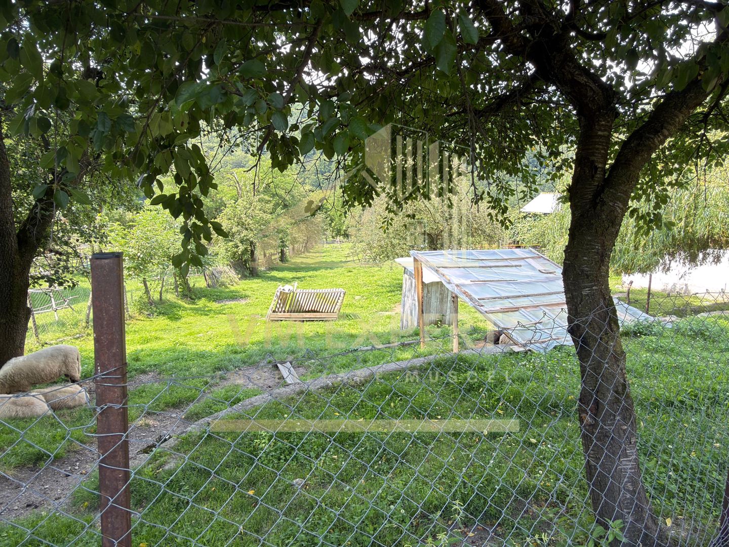 CASĂ3 3 CAMERE TEREN 1277 MP STOENEȘTI (SLOBOZIA) ARGEȘ - Poză 24