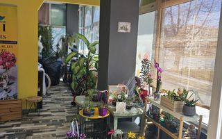 Spatiu Comercial zona Dacia - Poză 6