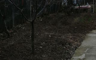 Casa de vânzare cu teren - Poză 2