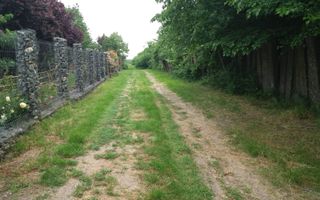 Teren Buftea cu iesire la lac - Poză 1