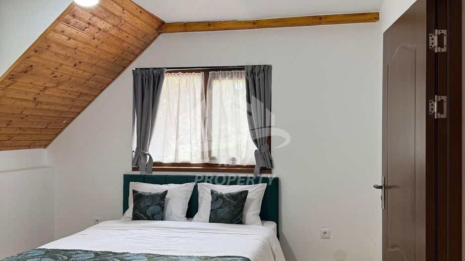 Pensiune/ Vila Valea Avrigului - Poză 2