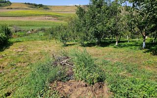 Casă batranească, 3 camere, 2200 mp teren, sat Bucerdea Grânoasă - Poză 14