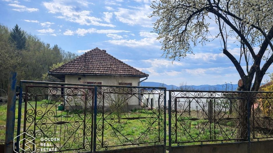 Casă cu teren generos 1.944 mp, Măgulicea, Vârfurile - Poză 15