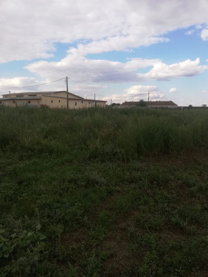 Ferma de vânzare - Poză 14