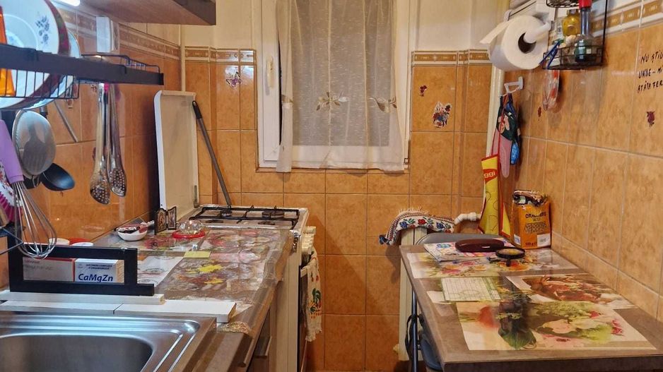 Apartament Moisil // Tei - Poză 3