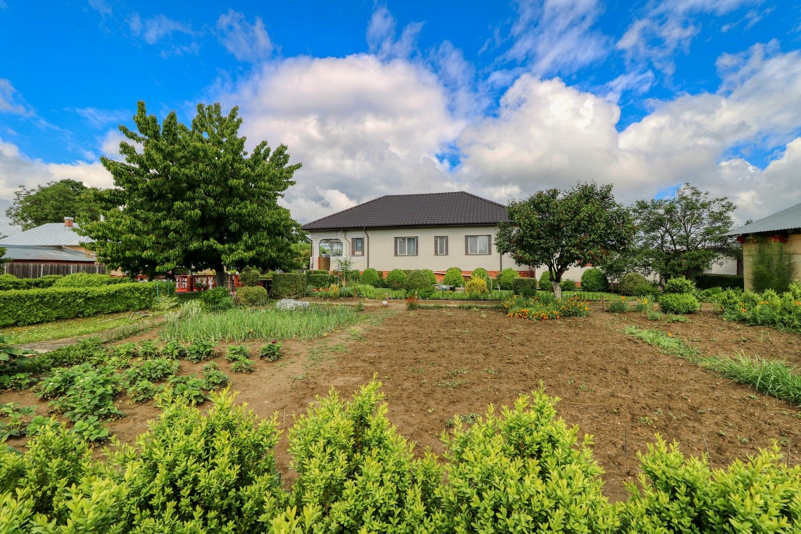 Casă boierească  de poveste- 7000 mp teren - Poză 71