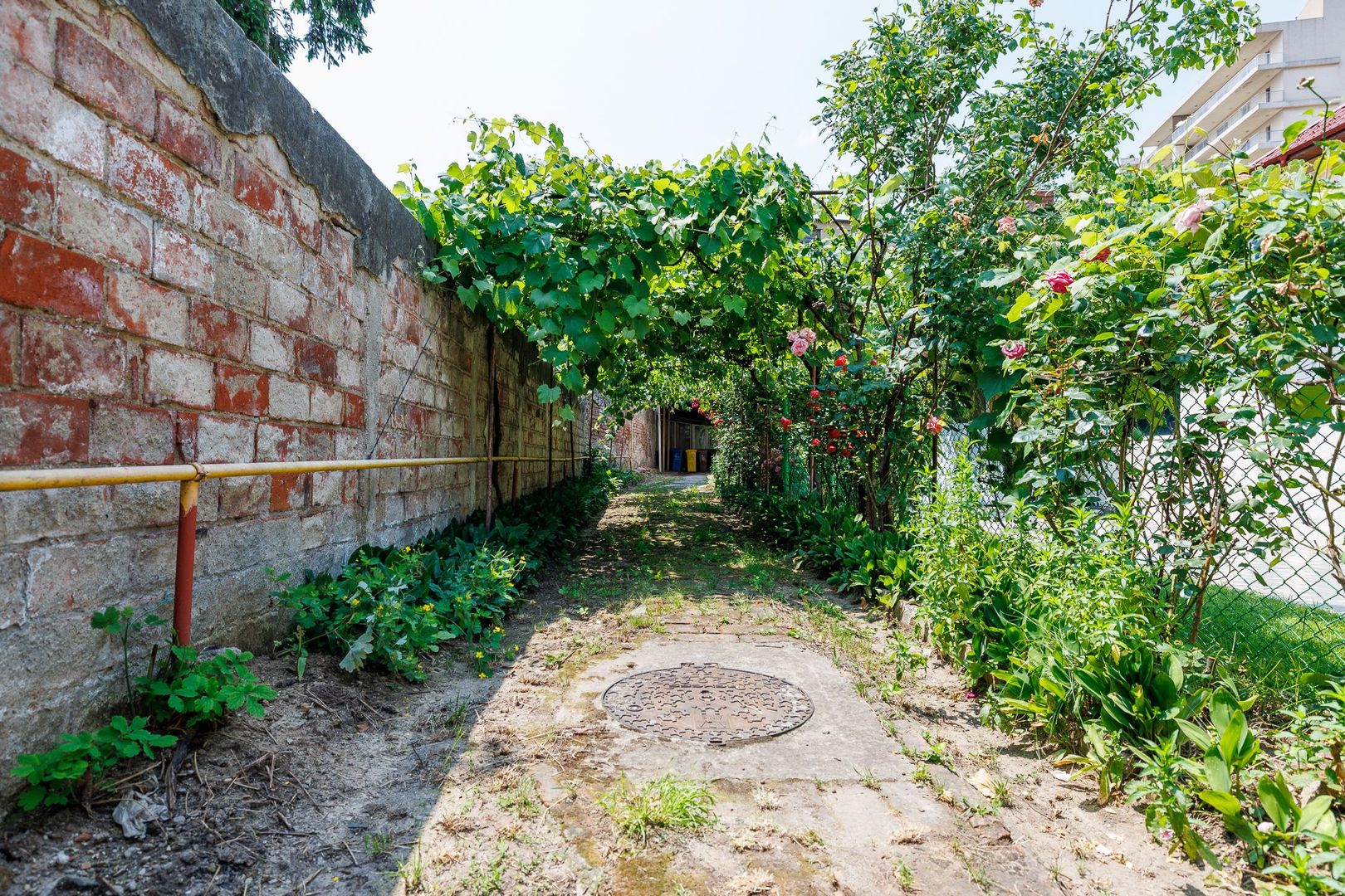 FOISORUL DE FOC | Teren 259mp cu casa veche 9 min metrou Iancului - Poză 6