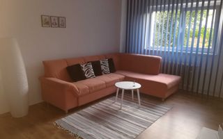 Garsoniera de inchiriat | Parter | Valea Aurie | Pet friendly - Poză 1
