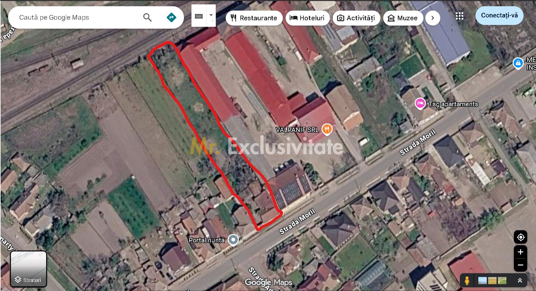 Casă de vânzare cu teren generos în Valea lui Mihai - Poză 10