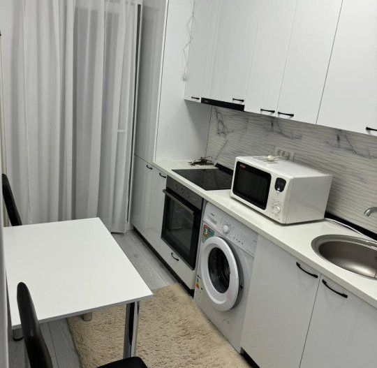 Garsoniera- Teodor Pallady - Poză 2