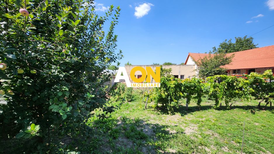 De vanzare 600mp teren intravilan, cu utilitati, Oarda de Jos - Poză 4