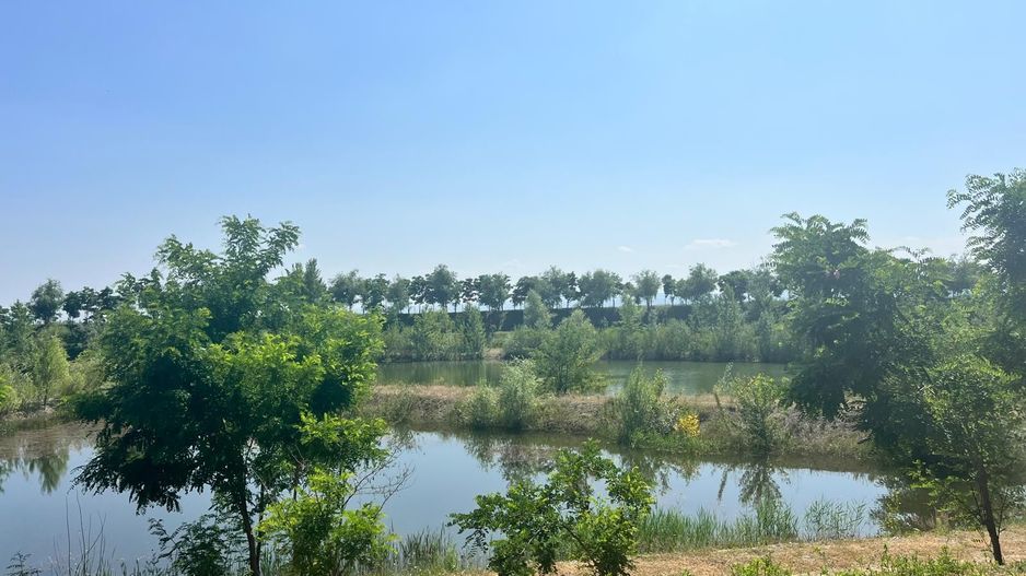 Iaz Piscicol Bacau Saucesti - Poză 4