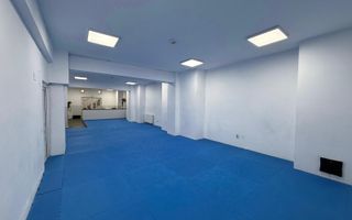 INCHIRIERE SPATIU DEMISOL | BARBU VACARESCU  | 196MP | - Poză 5