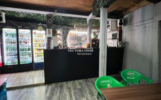 NECTORA IMOB Exclusivitate - Casa + spatiu comercial Str. Feldioarei - Poză 5