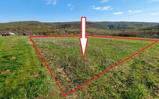 Tabăra/Orhei | 11,62 ari | Teren în inima Codrilor – Ideal pentru evadare în natură sau investiție - Poză 1