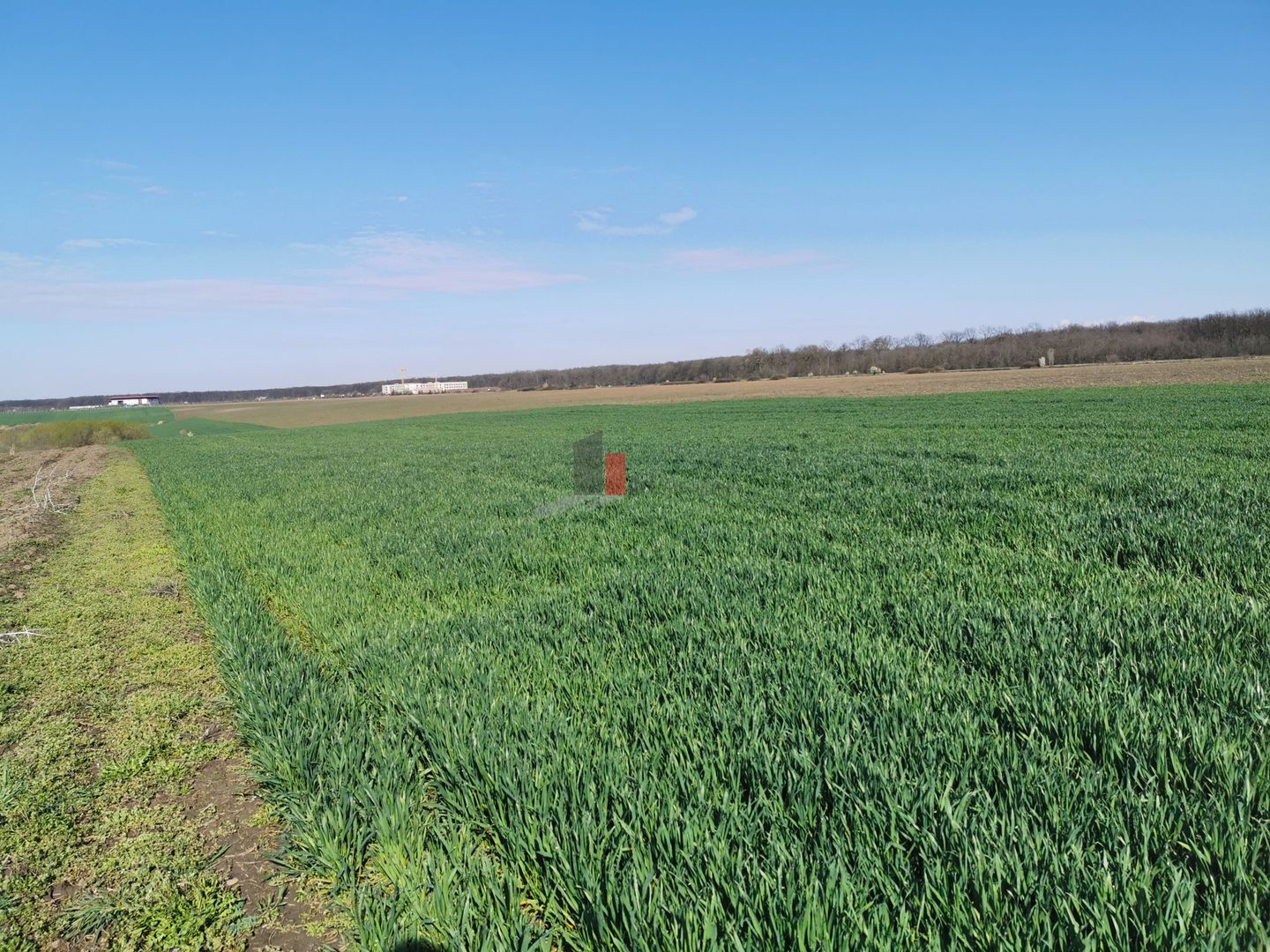 6,9 ha mp | 25 euro/mp |  in spate la Jumbo. - Poză 2