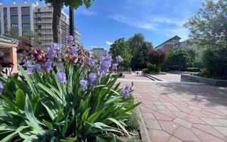 Apartament 3 camere premium Tatarasi Parcul Ciurchi - Poză 17