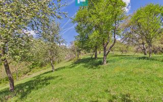 Proprietate rară cu 24.270 mp, în Măgulicea, Arad! - Poză 27