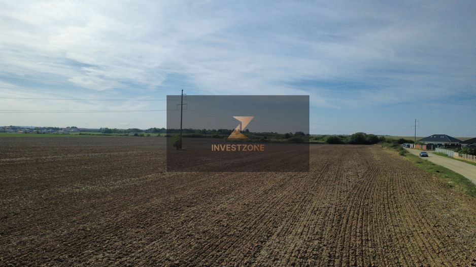 InvestZone vinde 10 ha la Santandrei - Poză 4