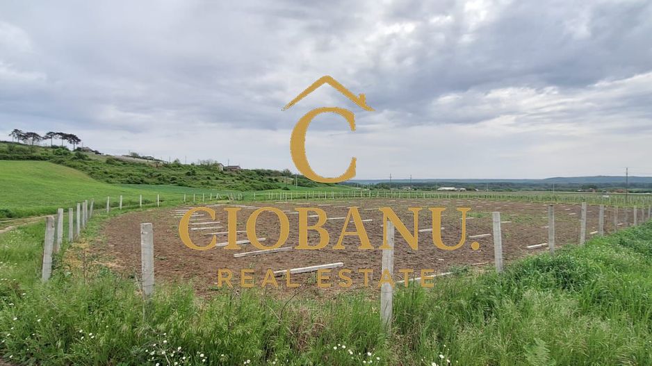 Teren intravilan cu PLANTATIE DE GOJII de vanzare in Racari - Poză 16
