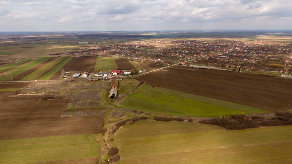 Fermă cu teren intravilan de 35000 mp în Mișca - Poză 8