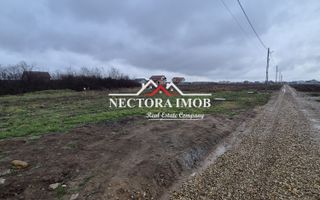NECTORA IMOB-Teren Intravilan 501 mp, cu front 19ml, Nojorid,Utilitati - Poză 5