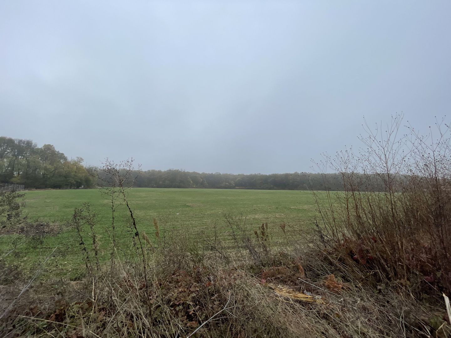 9400 mp | Ideal pentru investitie | Tunari | Deschidere la padure - Poză 4