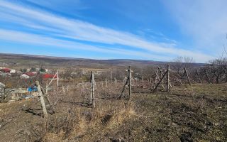 Teren pentru construcții 10 ari Vasieni, Ialoveni - Poză 6