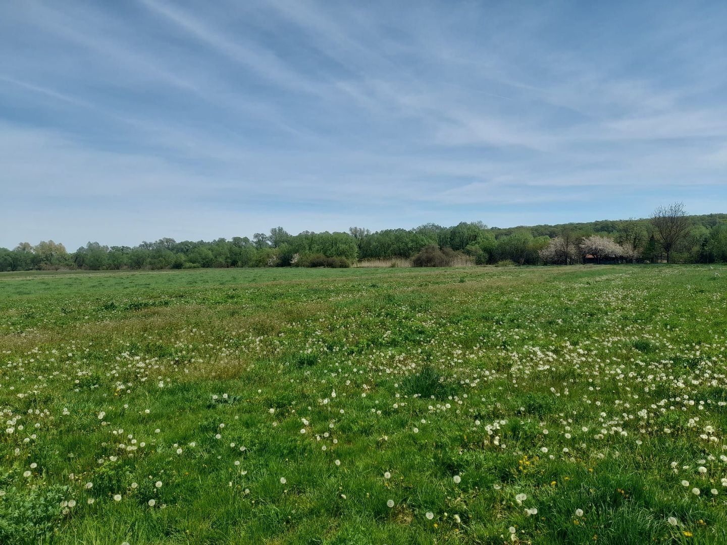 Teren de vanzare intravilan 5000 m2 Cisnadie zona SOMA - Poză 1