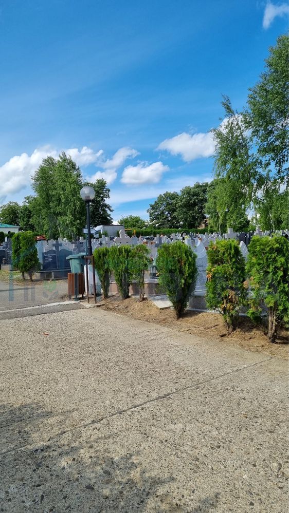 Cavou 2 locuri – Cimitirul Sf. Ioan Botezătorul, Iași (Str. Elizabeta Rizea) - Poză 3