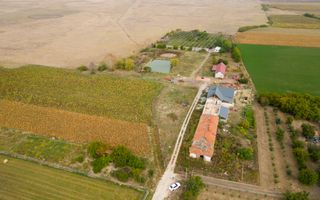 Teren intravilan cu iazuri și casă - Chișineu-Criș - Poză 16