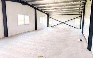 Hala industriala inchirere – Vladimirescu, jud. Arad 500 mp - Poză 8