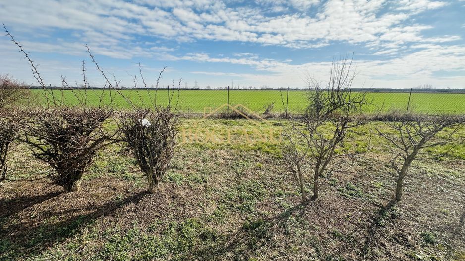 BG141-Teren-46.400 mp-Front 300 ml acces TIR | INCONTRO-Calea Sagului - Poză 6