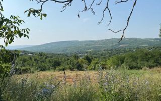 Teren intravilan de vanzare in Comarna, 4200 mp, asfalt si curent la limita, 20 km de Iasi - Poză 1