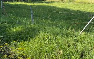 Teren 814 mp cu front de 40! - Poză 3