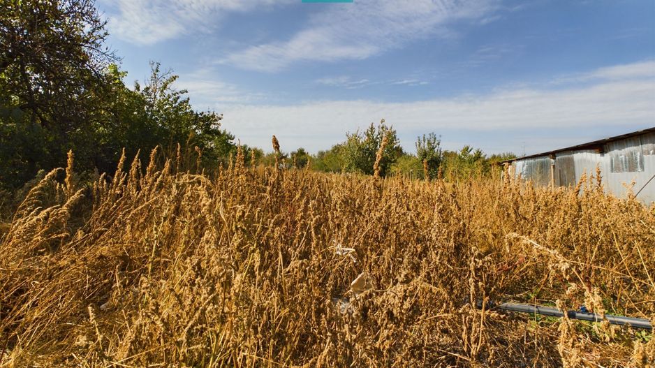 Casă 4 camere, zona centrală în Pâncota - Poză 13