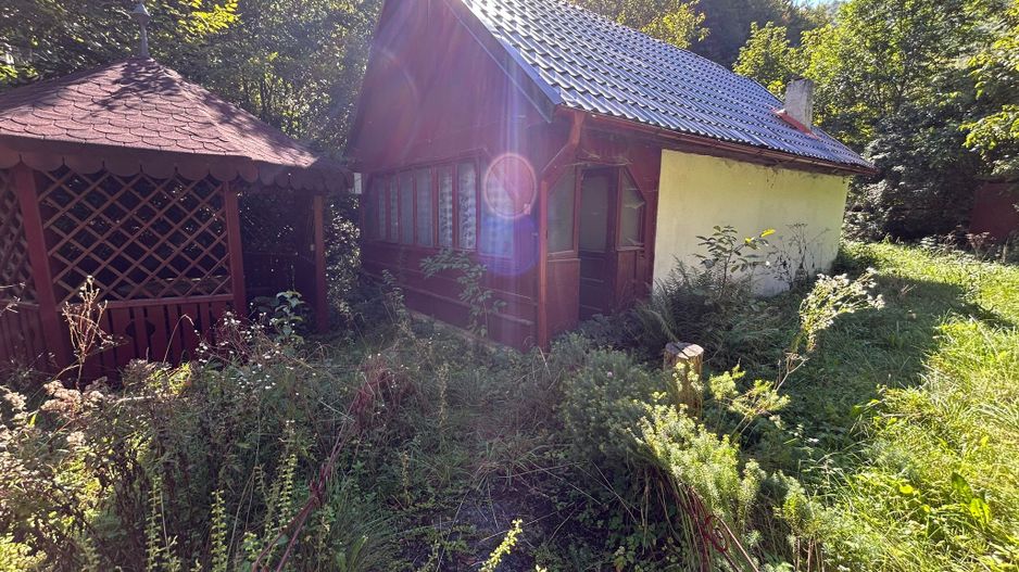 Cabana de vanzare, Valea Manastirii - Ramet - Poză 8