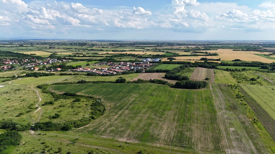 Terenuri zona  MOSNITA NOUA -  ALBINA . - Poză 4