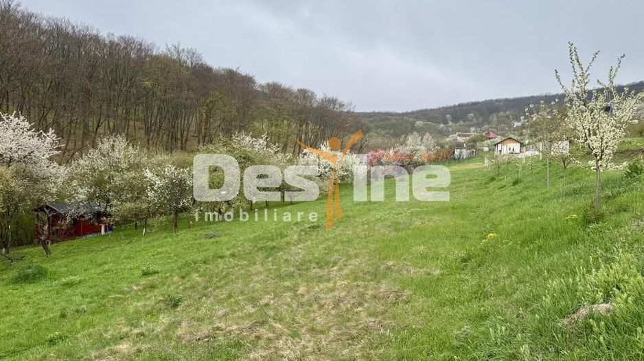 Teren intravilan Deva- Roci - Poză 1