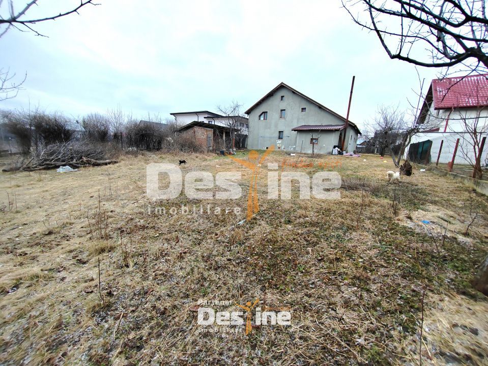 Balciu, Miroslava - Casă individuală P+M 147 mp utili 983 mp Teren - Poză 3