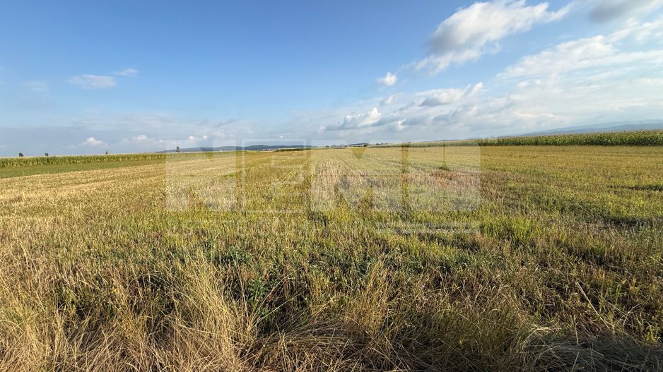 Teren extravilan de vânzare | Horodnic de Sus | 45 Ari - Poză 2