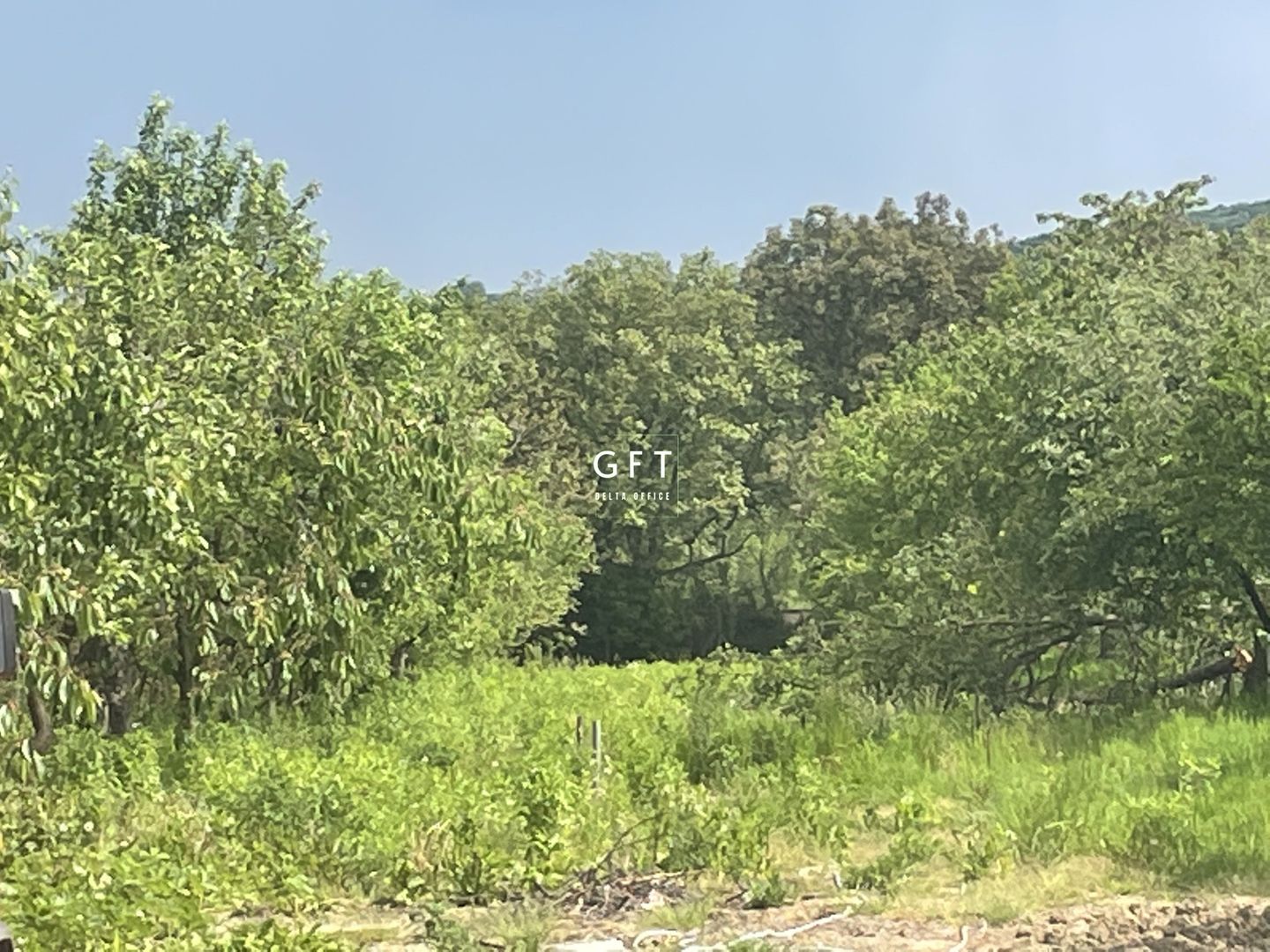 Casa 353 mp utili+ teren 2200 mp, VIISOARA - Poză 3