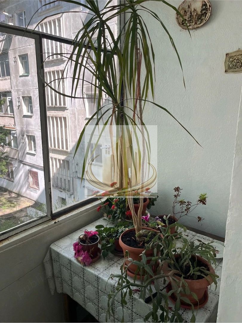 🏡Ap Sagului 3 camere - Poză 7