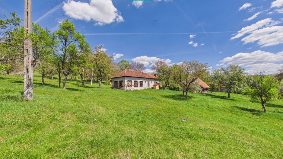 Proprietate rară cu 24.270 mp, în Măgulicea, Arad! - Poză 44